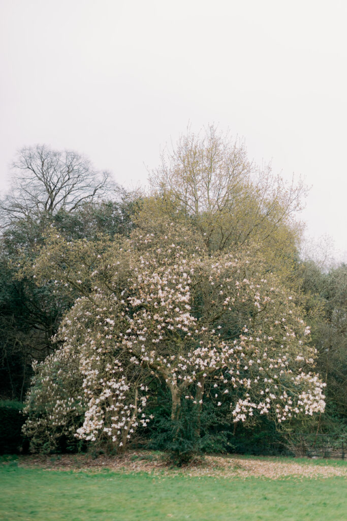 Elopement Weddings