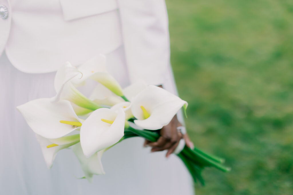 Elopement Weddings
