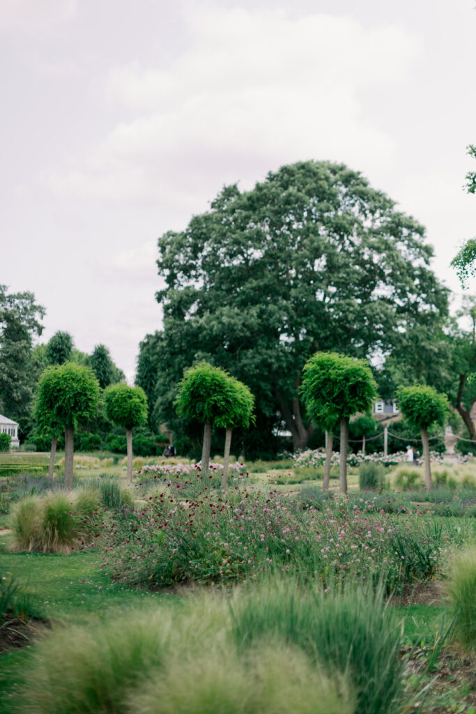 Engagement photography among camellia gardens Chiswick House conservatory London