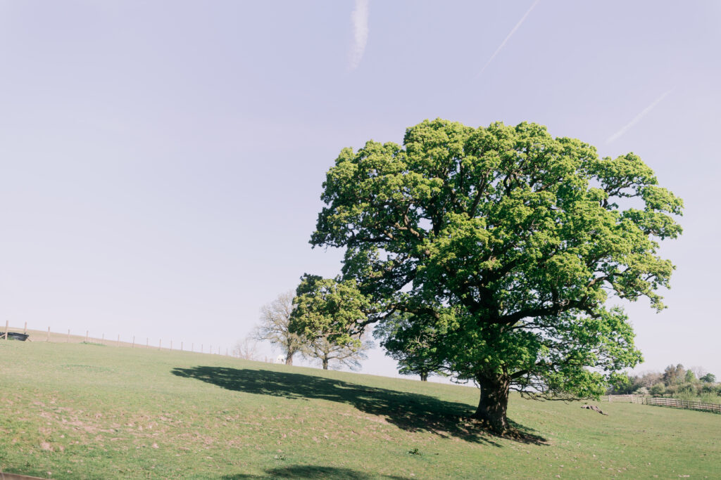 Casterton Grange historic manor house exterior - luxury wedding venue photography by Camilla Joy Photography
